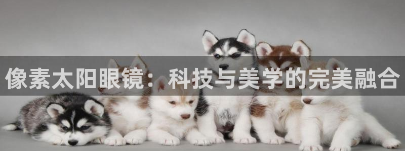 辉达娱乐