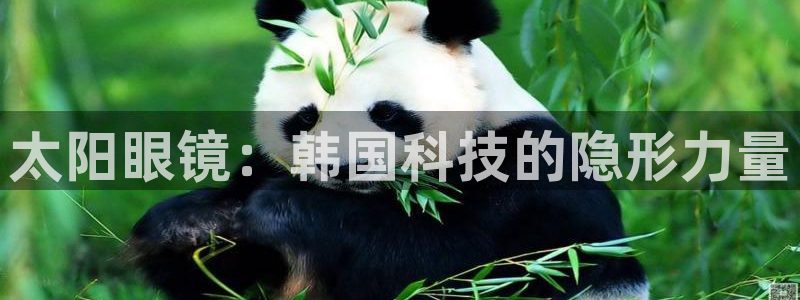辉达平台官网电话