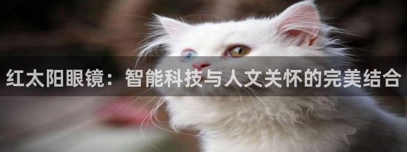辉达娱乐珈75775