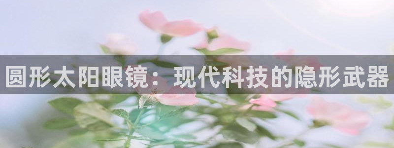 辉达娱乐公司