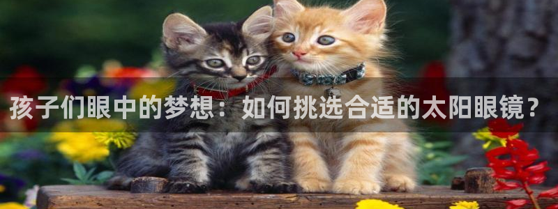 恒达娱乐辉70667