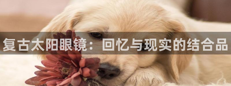 辉达平台娱乐怎么样