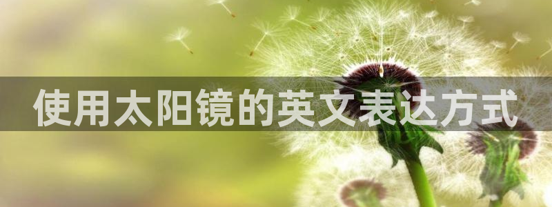 辉达娱乐最新消息新闻
