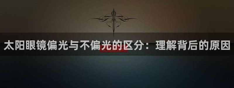 辉达怎么样