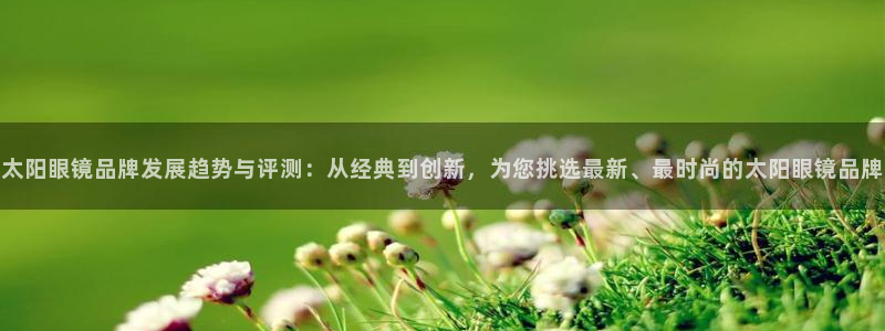 辉达集团官方网站