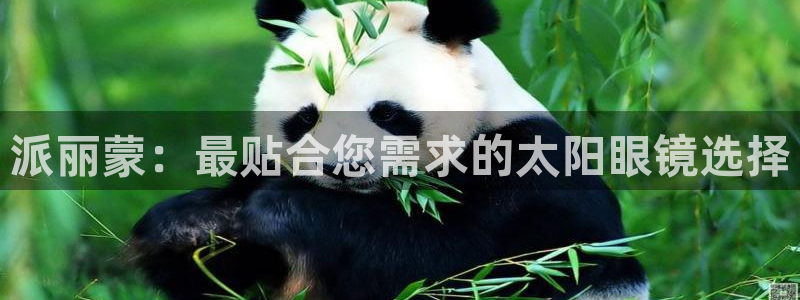 辉达娱乐己39444