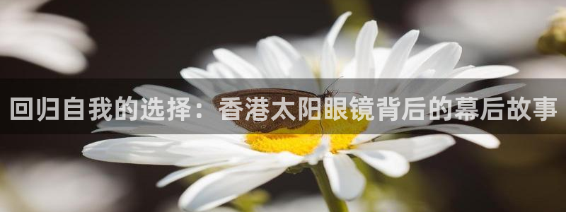 辉达娱乐丿39444