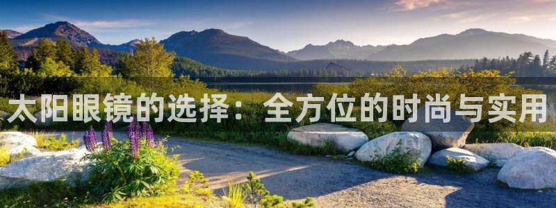辉达平台官网首页