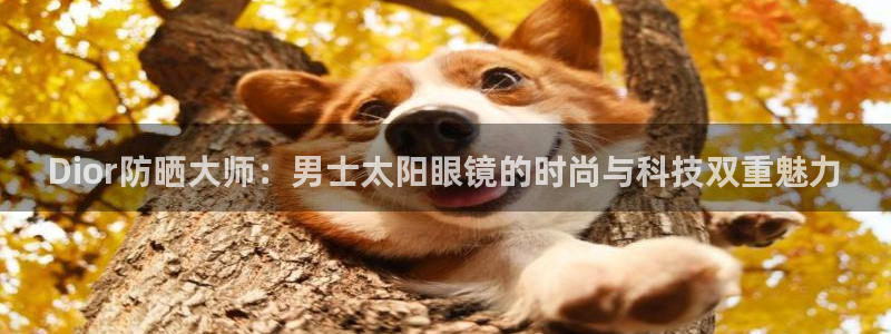 辉达娱乐可靠