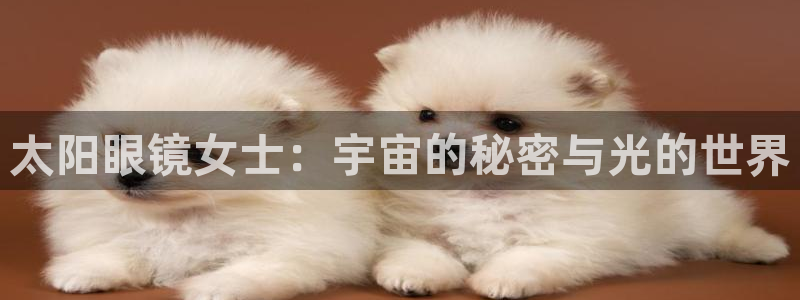 辉达怎么样