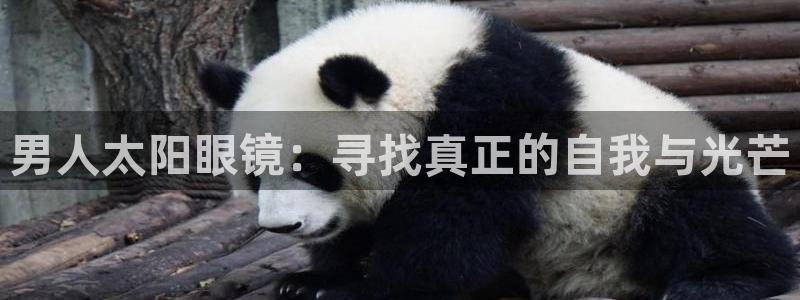 龙腾辉达电子娱乐
