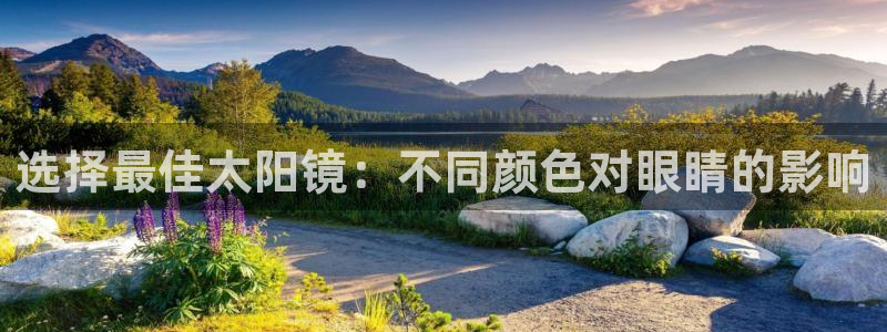 代理辉达娱乐