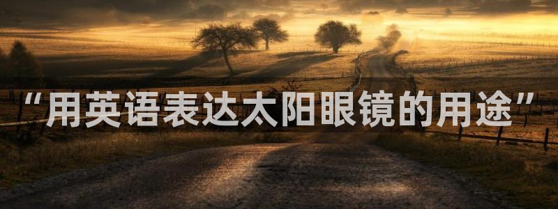 辉达怎么样