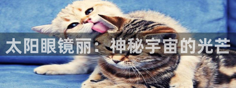 辉达娱乐重庆时时彩