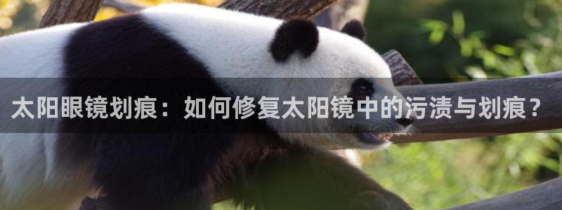 辉达娱乐加q75775