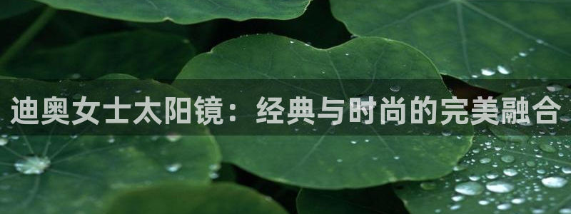 辉达平台官网网站