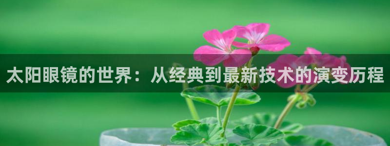 辉达娱乐最新现状