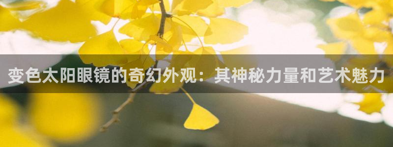 辉达娱乐丶75505