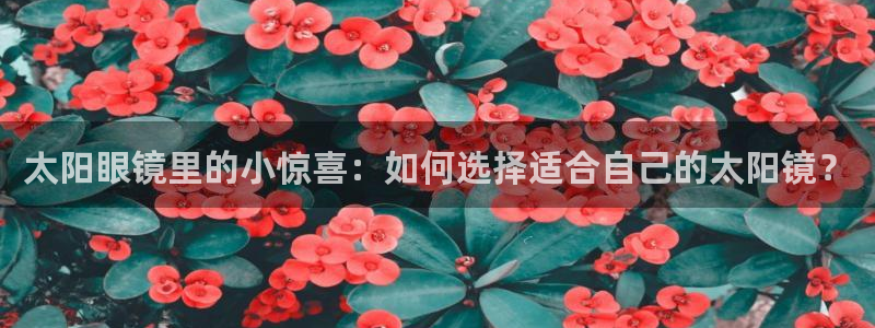 代理辉达娱乐