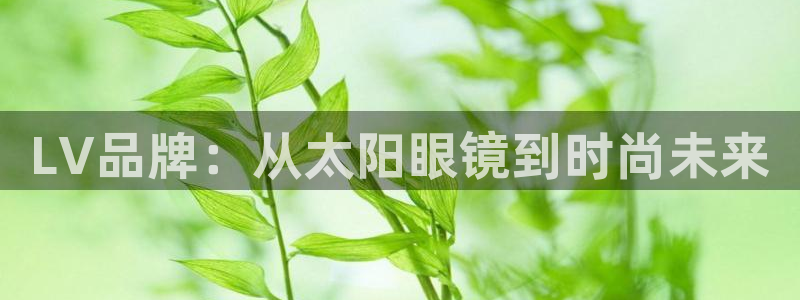 辉达娱乐加q75775