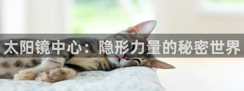 代理辉达娱乐官方网址
