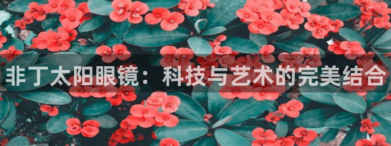 辉达娱乐加扣75775
