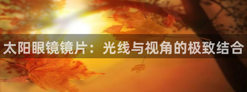 辉达娱乐游戏.直开.中国