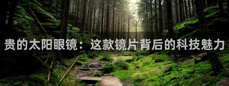 代理辉达娱乐
