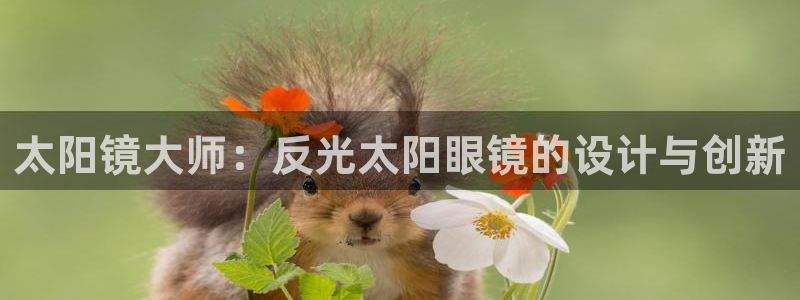 辉达娱乐检测