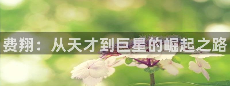 辉达平台官网首页
