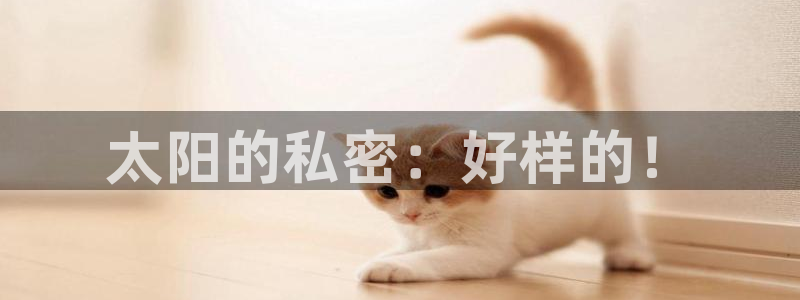 菲律宾辉达娱乐