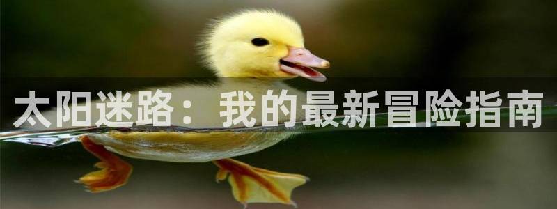 辉达平台官网首页