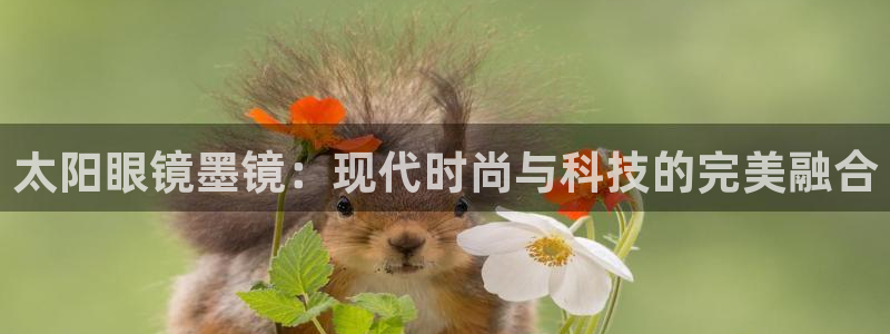 专业辉达娱乐平台