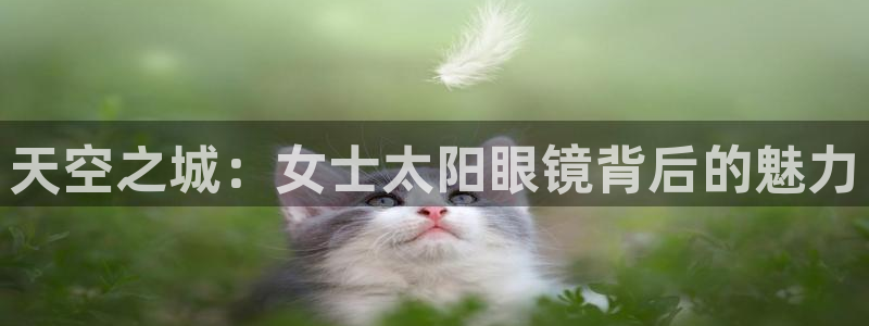 信誉辉达娱乐在线游戏