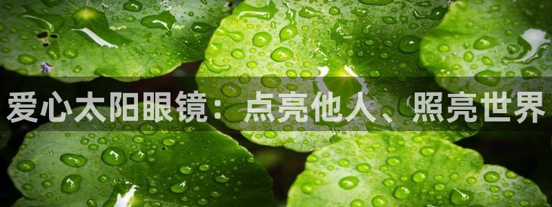 辉达平台官网下载