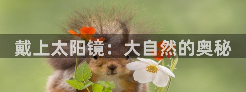 辉达娱乐加q75775稳定