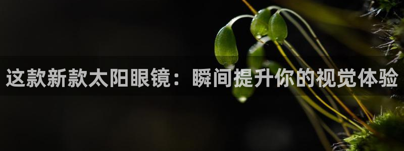 辉达娱乐时时彩平台