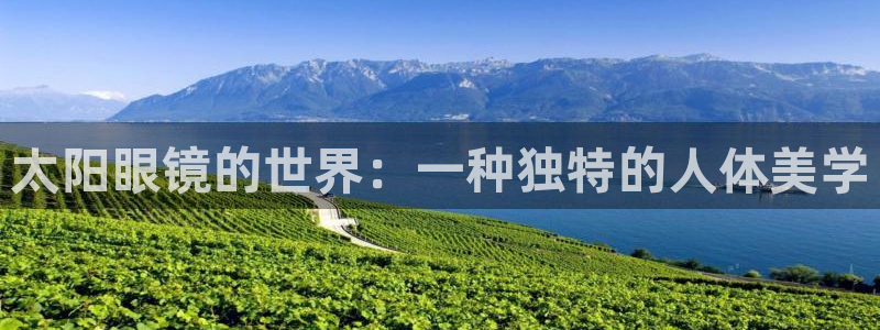 辉达娱乐待遇