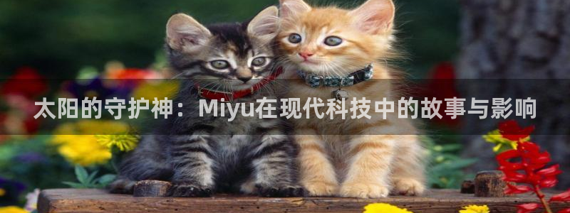 辉达娱乐最新版本更新内容