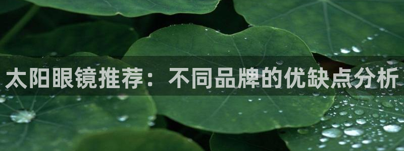 辉达娱乐最新现状