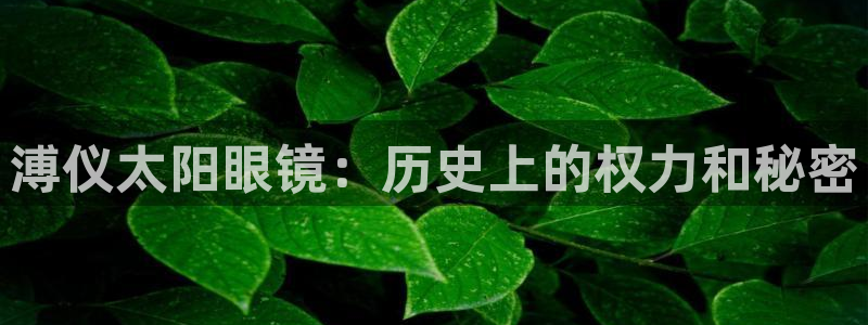 辉达娱乐招商