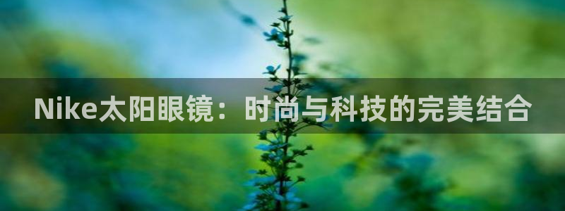 专业辉达娱乐平台