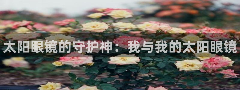 辉达娱乐app