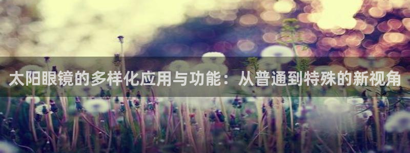 达利娱乐王辉