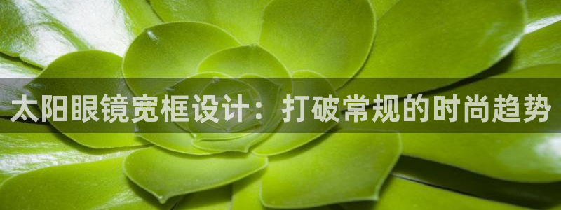 达利娱乐王辉