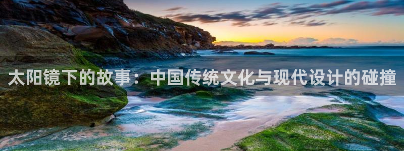 辉达娱乐公司