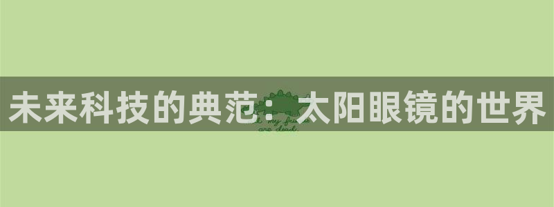 辉达娱乐多少年