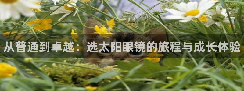 辉达娱乐广东11选5