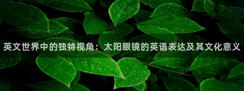 代理辉达娱乐