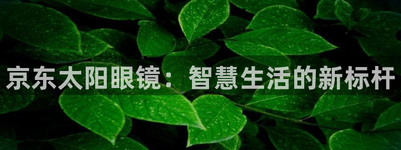 达娱乐辉70667